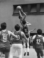 /album/galleria-fotografica/img104-jpg1/